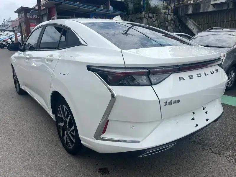 Aeolus Yixuan 2020 230T Automatic Cool Edition — миниатюра 4