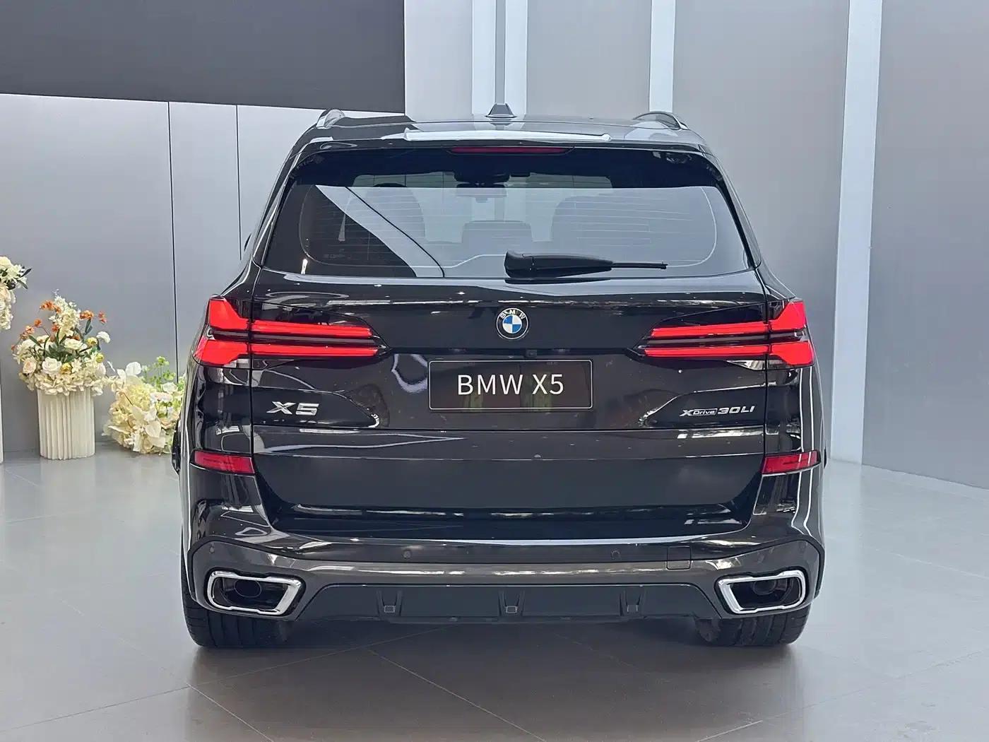 BMW X5 2023 xDrive 30Li M Sport Shadow Edition — миниатюра 16
