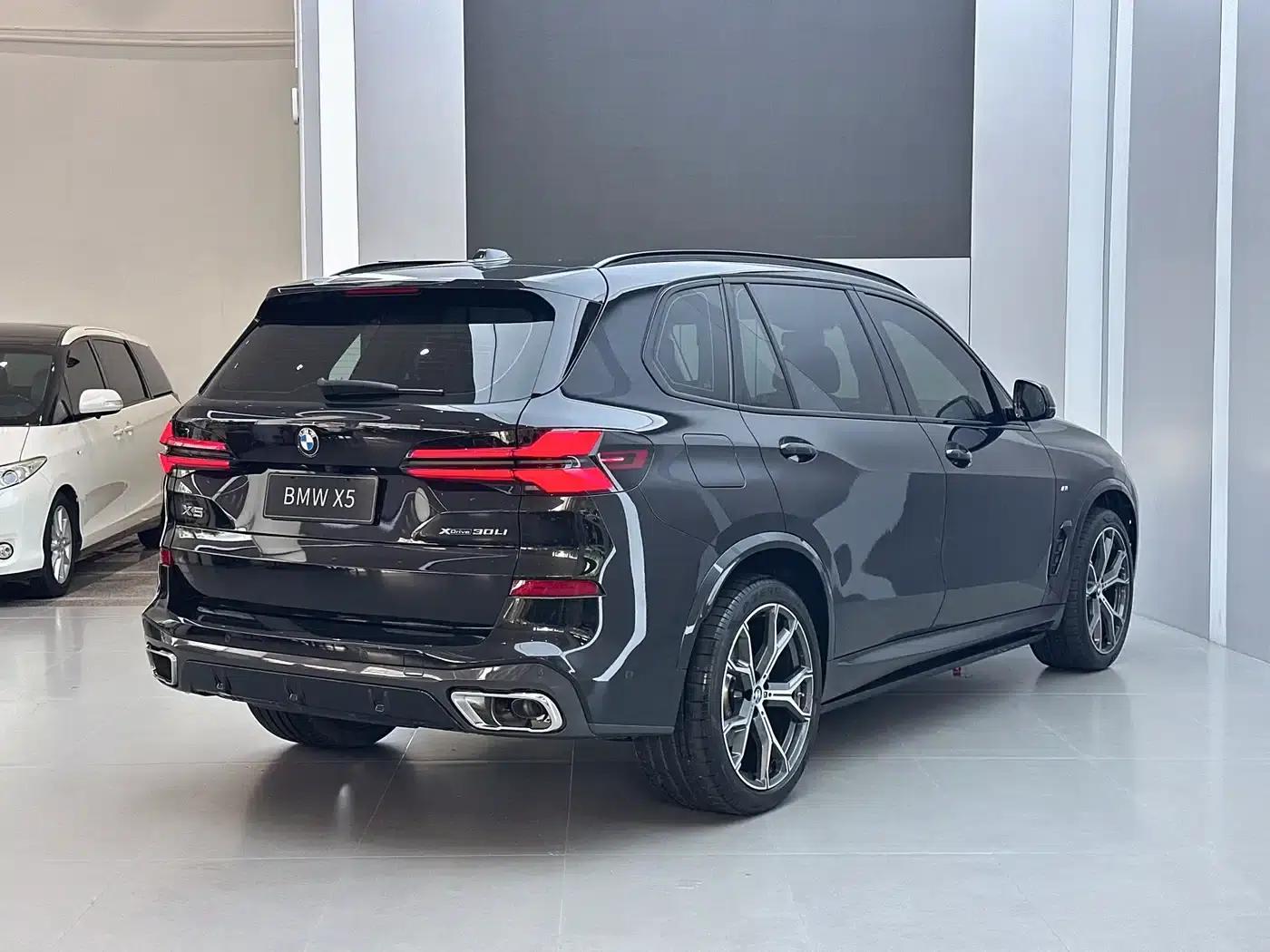 BMW X5 2023 xDrive 30Li M Sport Shadow Edition — миниатюра 17