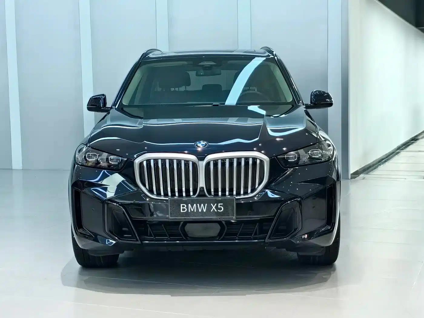BMW X5 2023 xDrive 30Li M Sport Shadow Edition — миниатюра 2