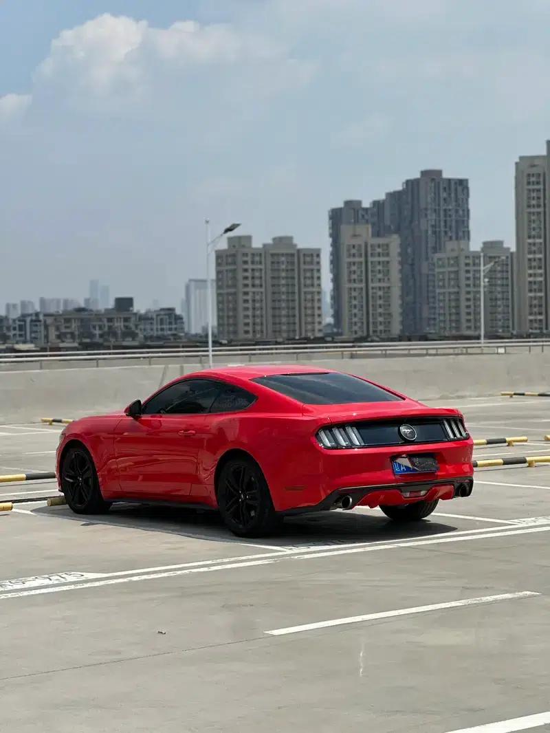 2015 Mustang 2.3T 50th Anniversary Edition — миниатюра 4