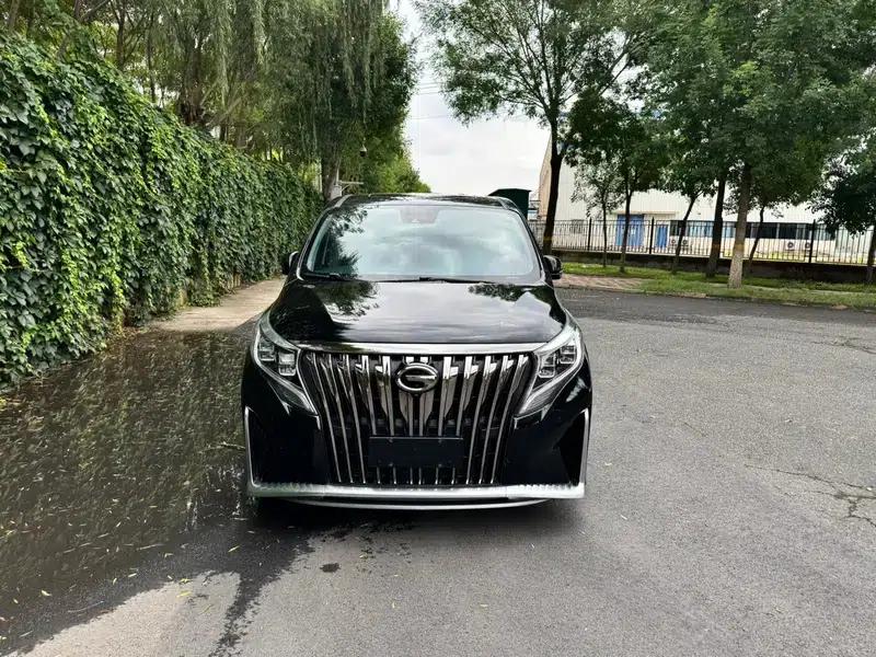 Trumpchi M8 2021 Master Series 390T Supreme Edition — миниатюра 2