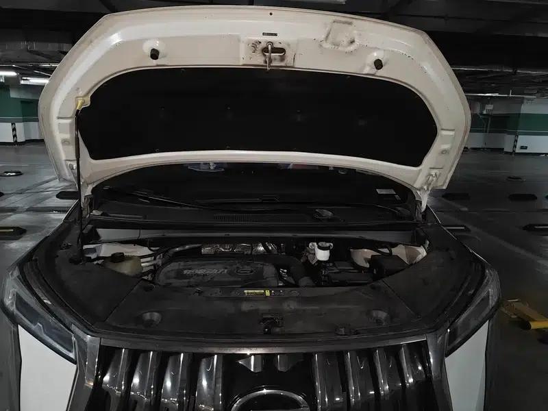 Trumpchi M8 2024 Master Series 2.0TGDI Supreme Edition — миниатюра 19
