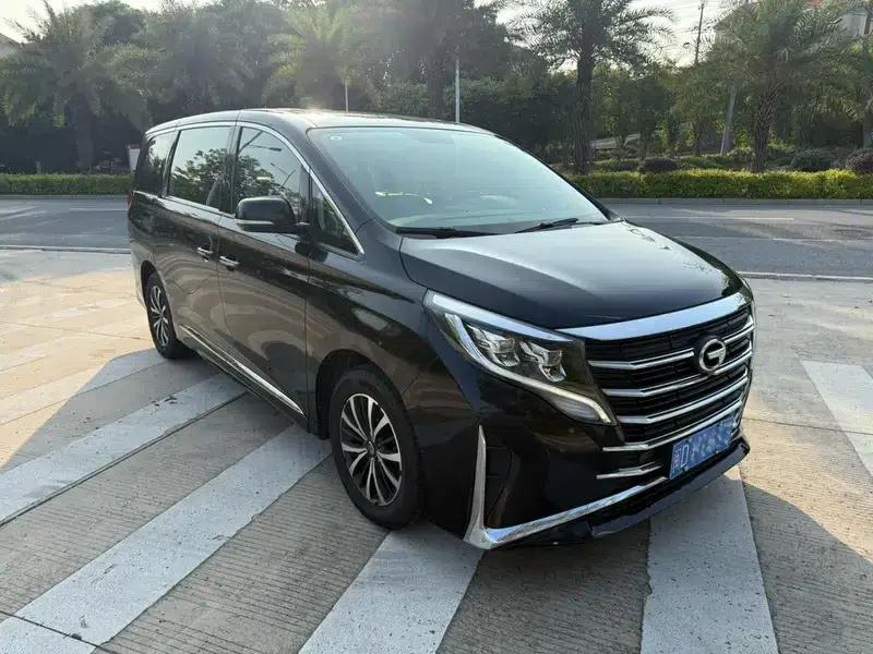 Trumpchi M8 2023 Leading Series 390T Luxury Edition — миниатюра 3