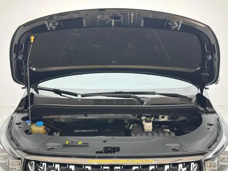 Trumpchi M8 2021 Master Series 390T Four-Seat Royal Edition — миниатюра 10