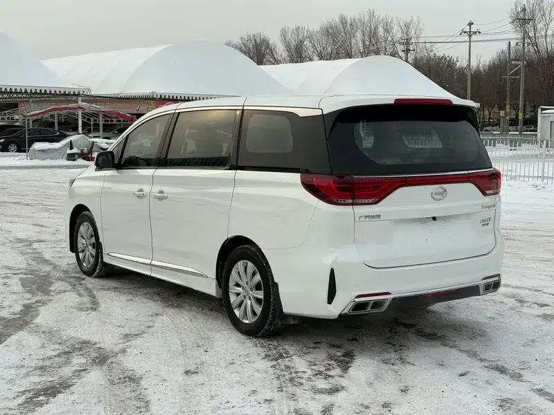 Trumpchi M8 2020 Navigator Edition 390T Luxury Version — миниатюра 4