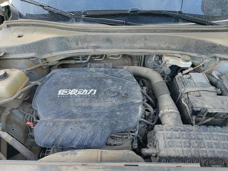 Trumpchi GS8 2022 Navigator Series 2.0TGDI 2WD Luxury Intelligent Connected 7-Seater — миниатюра 19