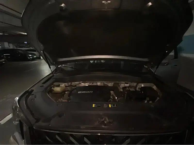 Trumpchi GS8 2022 Navigator Series 2.0TGDI 2WD Luxury Intelligent Connected 7-Seater — миниатюра 19