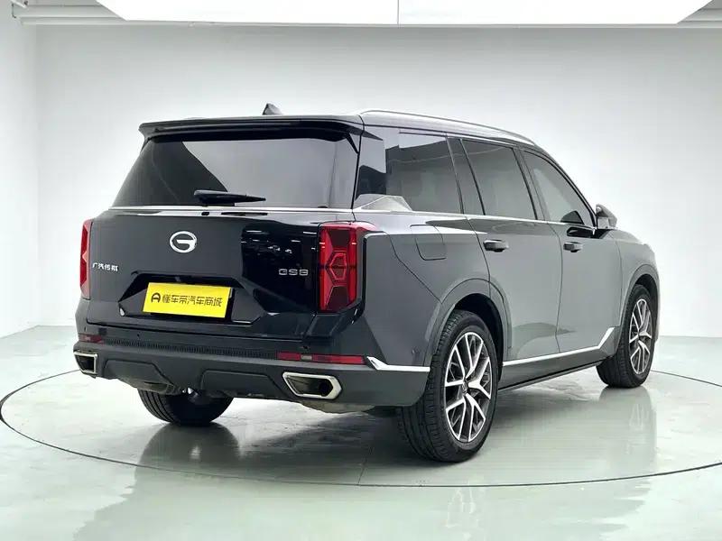 Trumpchi GS8 2022 Navigator Series 2.0TGDI 2WD Premium 7-Seater — миниатюра 7