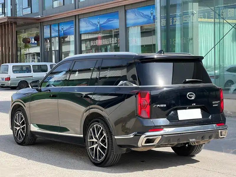 Trumpchi GS8 2022 Dual Engine Series 2.0TM Hybrid 4WD Premium Edition 7-Seater — миниатюра 4