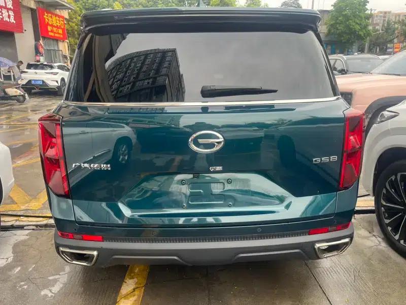 Trumpchi GS8 2021 390T 2WD Dark Knight Edition — миниатюра 4