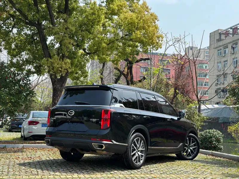 Trumpchi GS8 2022 Navigator Series 2.0TGDI 4WD Luxury Intelligent Connected 7-Seater — миниатюра 4