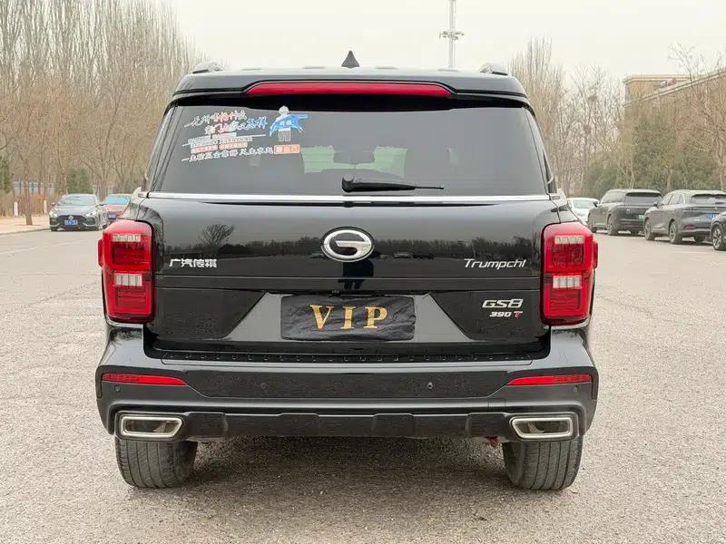 Trumpchi GS8 2021 390T 2WD Dark Knight Edition — миниатюра 5