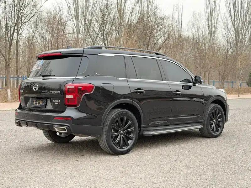 Trumpchi GS8 2021 390T 2WD Dark Knight Edition — миниатюра 6