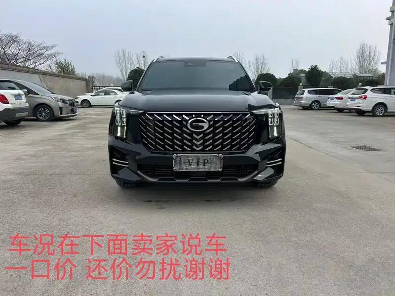 Trumpchi GS8 2024 Navigator Series 2.0TGDI Two-Wheel Drive Luxury Intelligent Edition — миниатюра 2