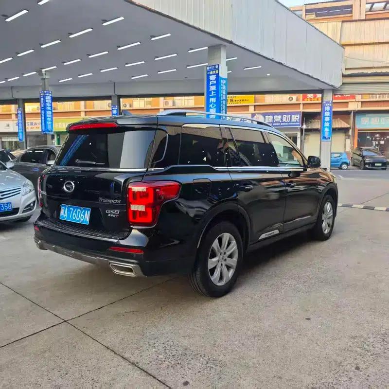 Trumpchi GS8 2020 390T 2WD Luxury Intelligent Connected Edition 7-Seater — миниатюра 6