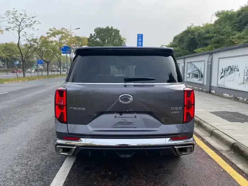 Trumpchi GS8 2022 Dual Engine Series 2.0TM Hybrid 2WD Premium Edition 6-Seater — миниатюра 5