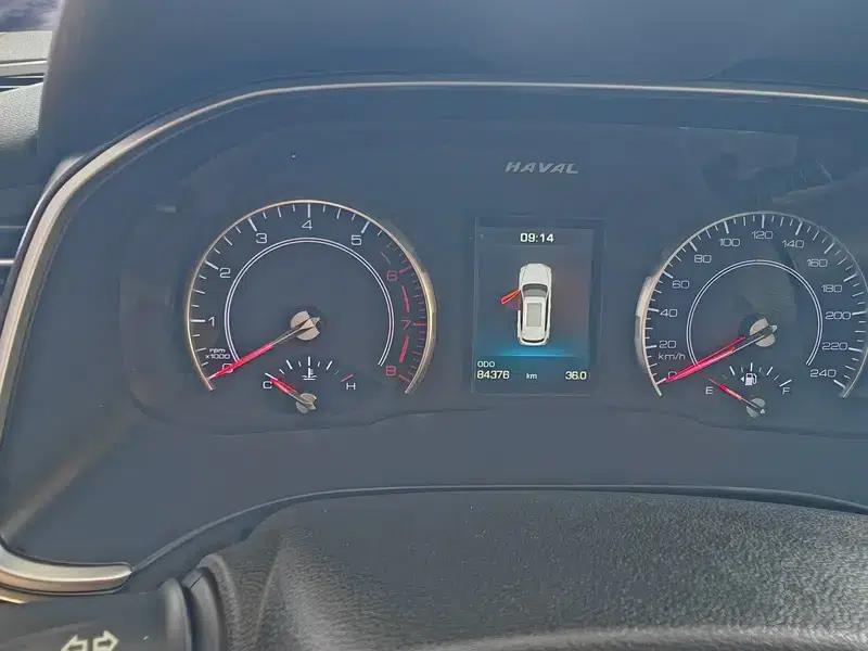 Haval H6 2020 1.5GDIT Automatic Platinum Champion Edition — миниатюра 6