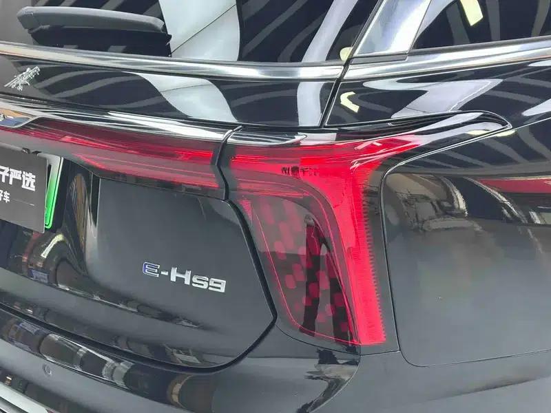 Hongqi E-HS9 2022 Model 690km Flagship Edition (Six Seats) — миниатюра 27