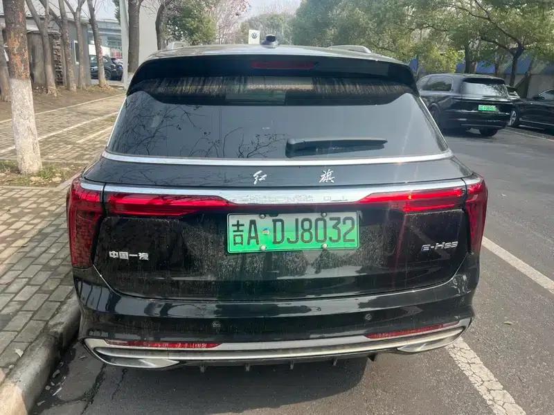 Hongqi E-HS9 2022 Model 690km Flagship Edition (Six Seats) — миниатюра 4