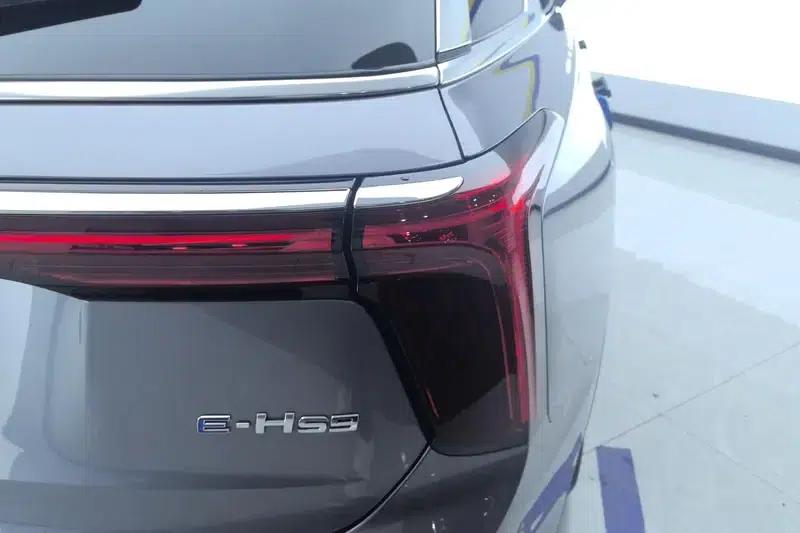 Hongqi E-HS9 2020 Model 460km Flagship Edition (Six Seats) — миниатюра 5