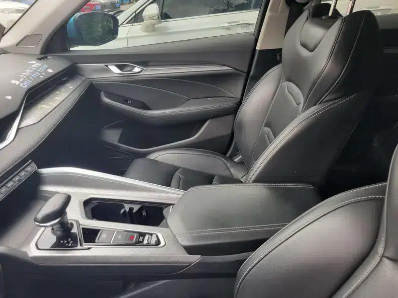 Xingrui 2020 2.0T Luxury Edition — миниатюра 4
