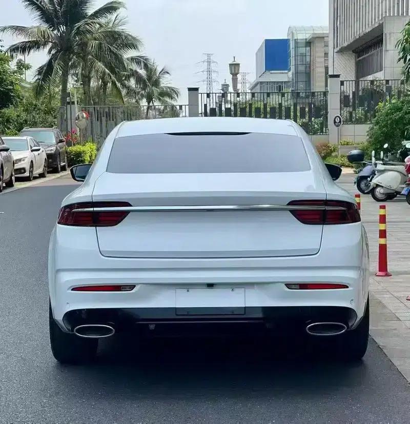 Xingrui 2021 2.0T Premium Edition — миниатюра 5