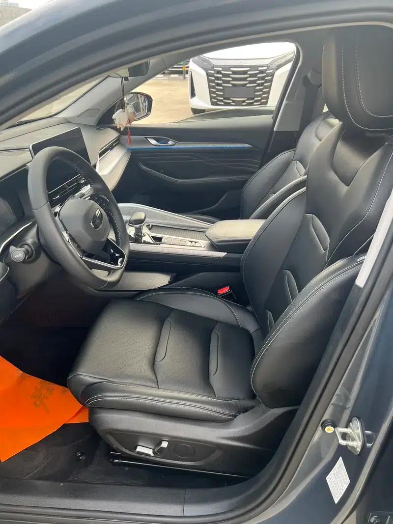Xingrui 2023 2.0T Luxury Edition — миниатюра 13