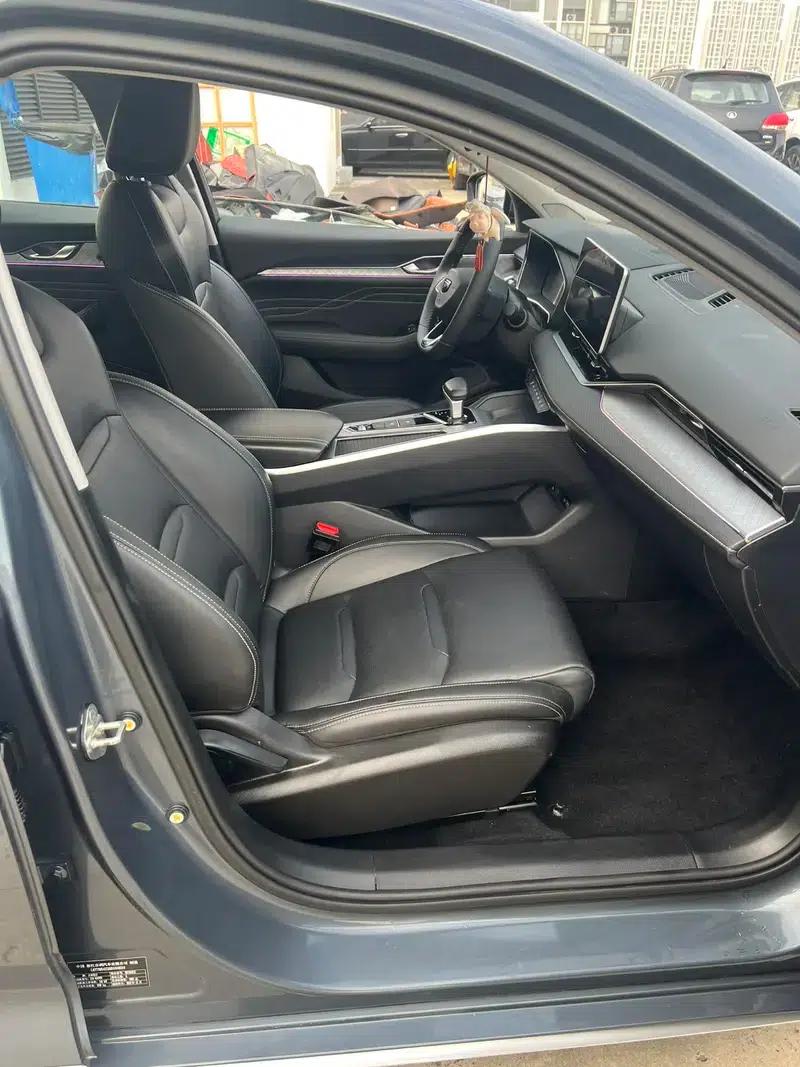 Xingrui 2023 2.0T Luxury Edition — миниатюра 14