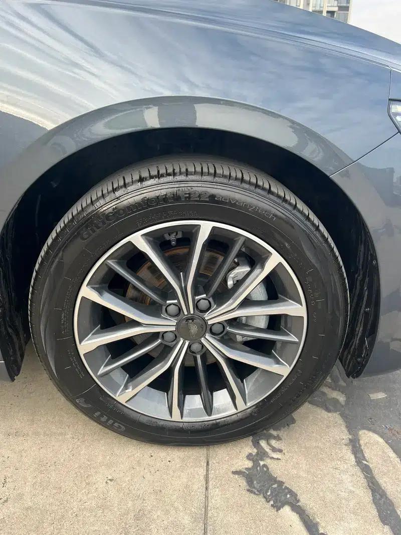 Xingrui 2023 2.0T Luxury Edition — миниатюра 9