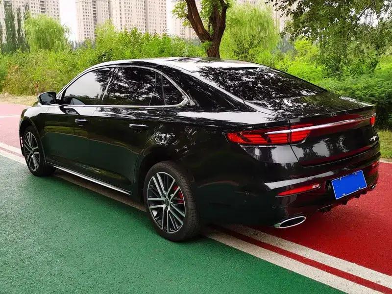 Xingrui 2020 2.0T Premium Edition — миниатюра 4