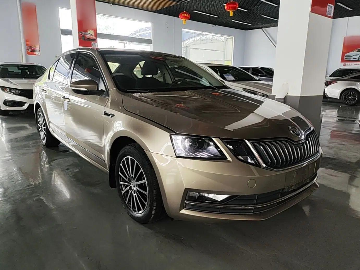 Skoda Octavia 2019 1.5L Automatic Smart Drive Luxury Edition China VI Standard — миниатюра 3