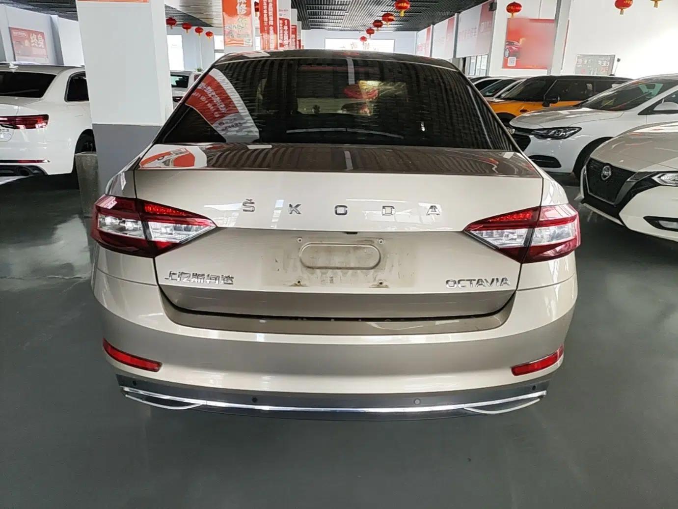 Skoda Octavia 2019 1.5L Automatic Smart Drive Luxury Edition China VI Standard — миниатюра 5