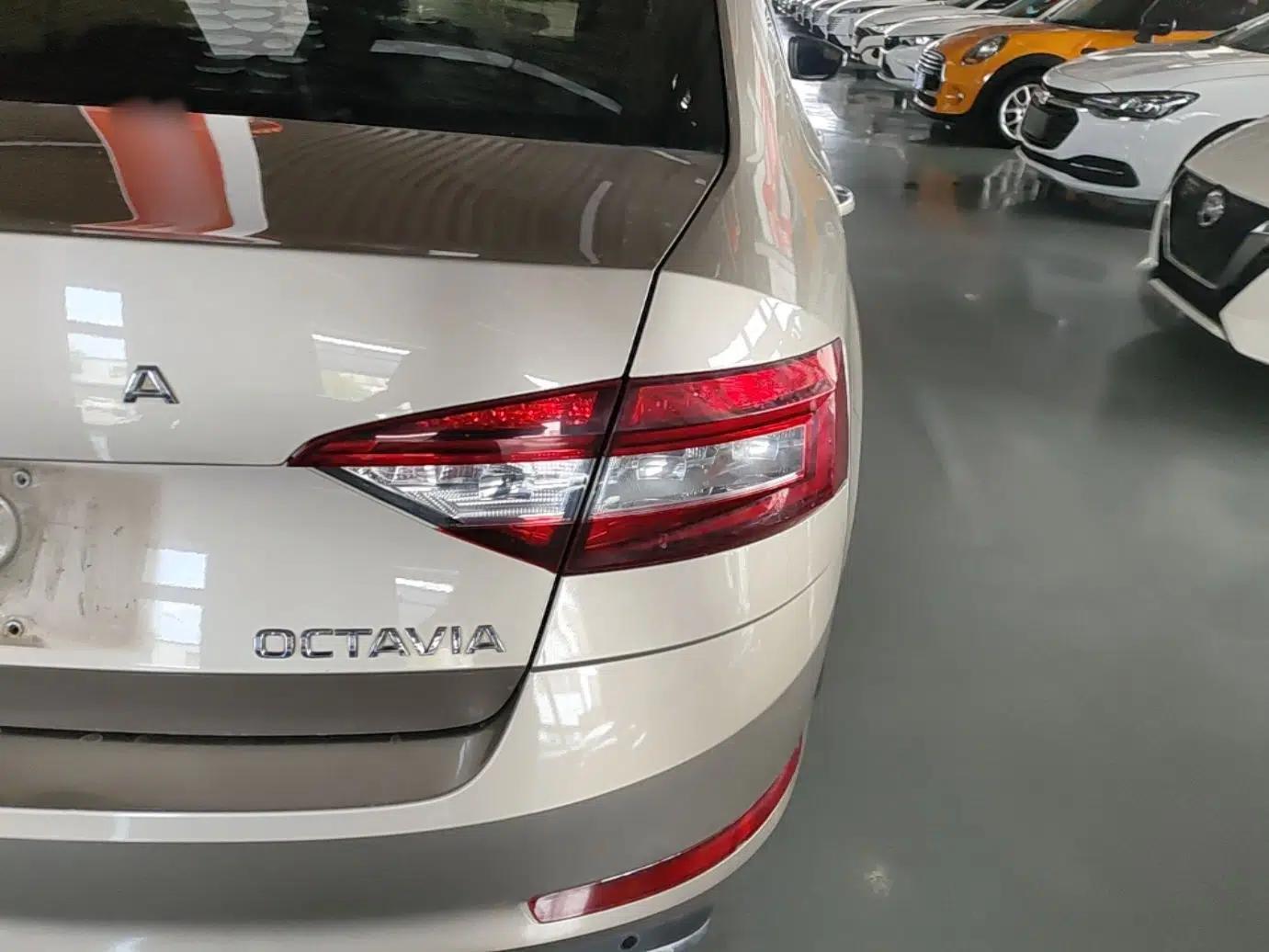 Skoda Octavia 2019 1.5L Automatic Smart Drive Luxury Edition China VI Standard — миниатюра 9