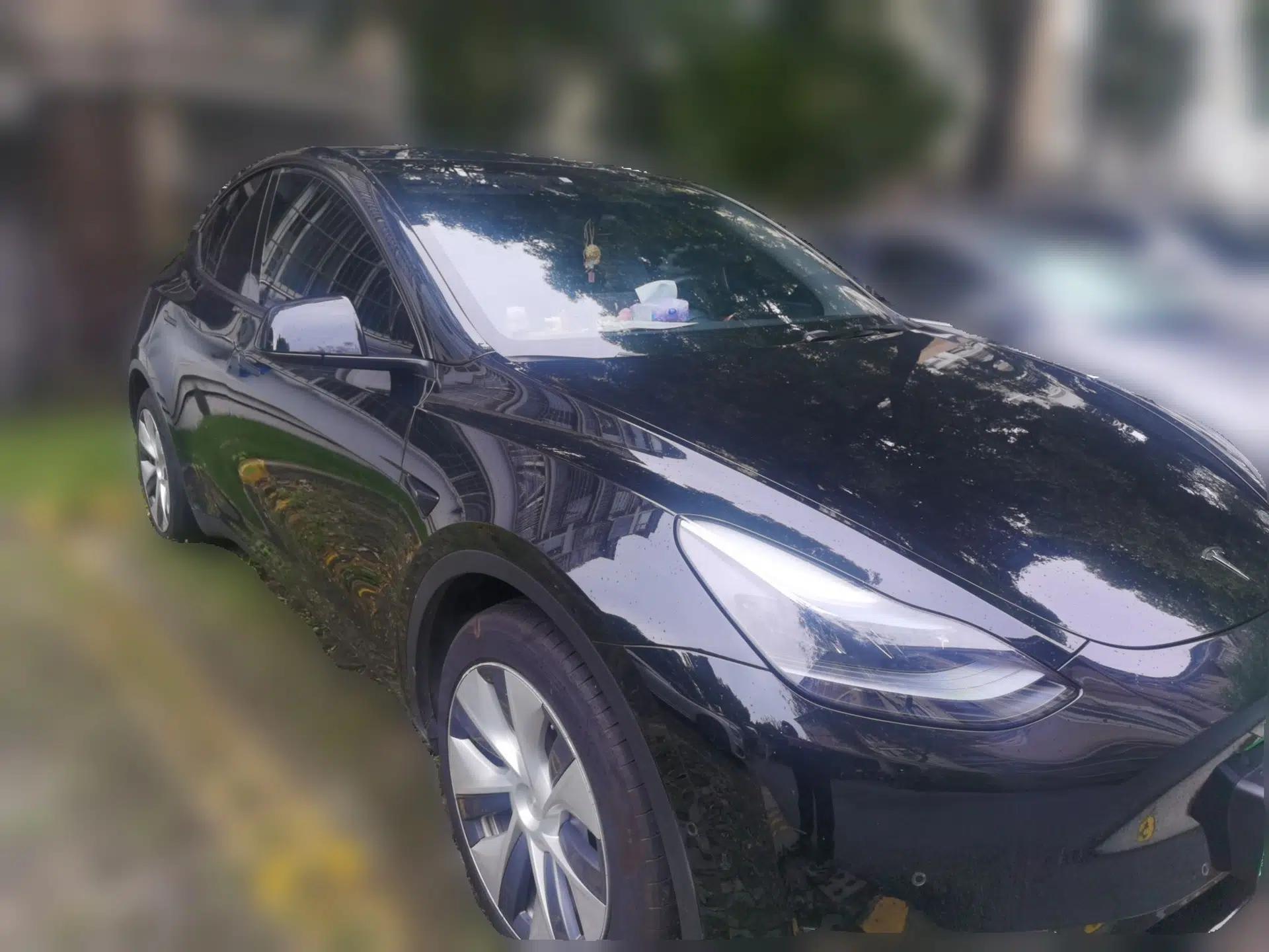 Tesla Model Y 2022 Revised Version Long-Range All-Wheel Drive — миниатюра 3