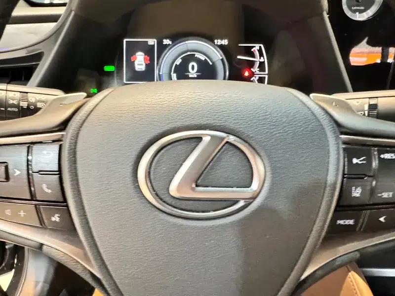 Lexus ES 2025 300h Premium Edition — миниатюра 21