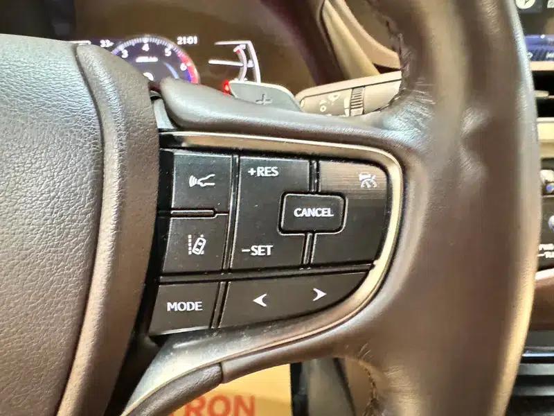 Lexus ES 2020 300h Premium Edition (China VI Emission Standard) — миниатюра 15