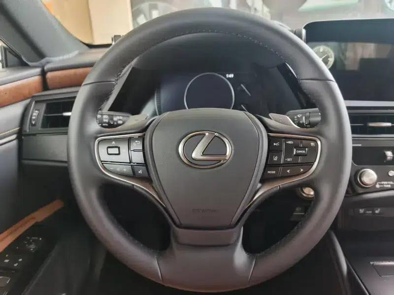 Lexus ES 2020 300h Premium Edition (China V Emission Standard) — миниатюра 8