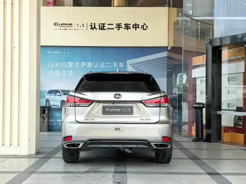 Lexus RX 2020 300 AWD F Sport (China VI Emission Standard) — миниатюра 4