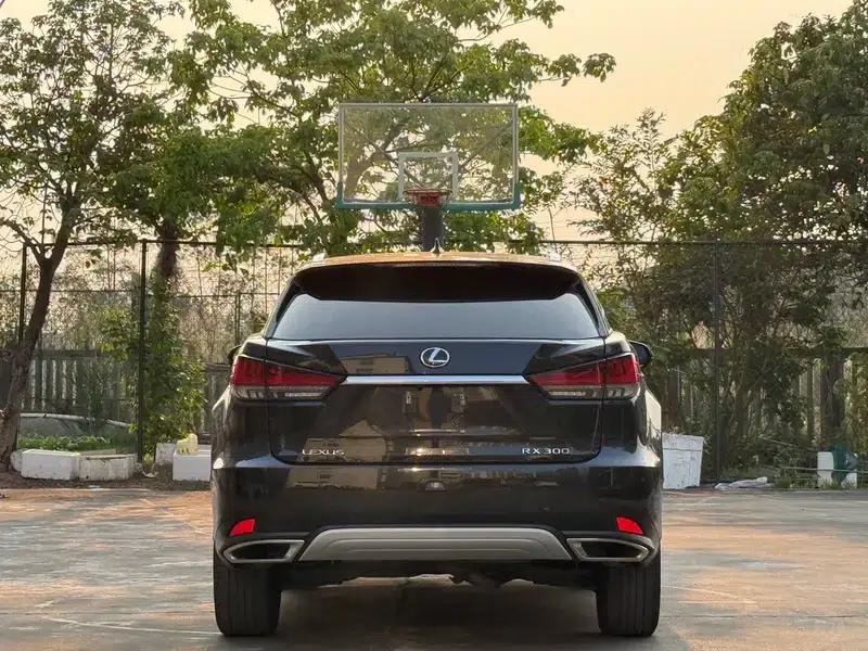 Lexus RX 2020 Facelift 300 AWD Elegant Edition — миниатюра 5