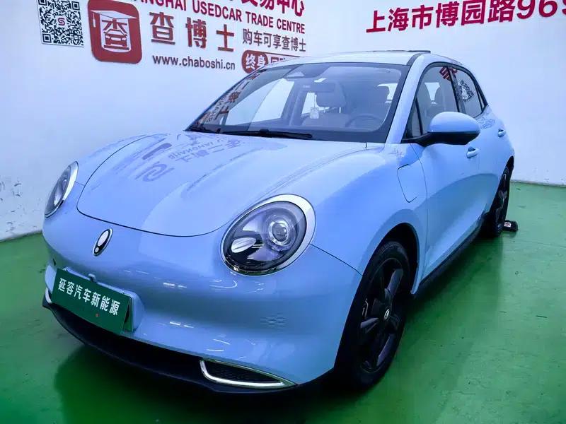 ORA Good Cat 2024 Model 401km Luxury — миниатюра 1