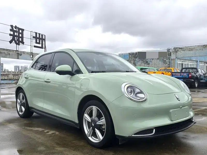 ORA Good Cat 2022 Morandi Edition, 400km Standard Range, Premium Model, Lithium Iron Phosphate — миниатюра 3