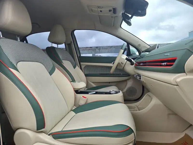 ORA Good Cat 2022 Morandi Edition, 400km Standard Range, Premium Model, Lithium Iron Phosphate — миниатюра 10