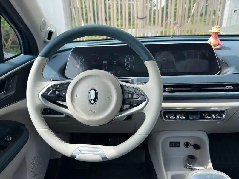 ORA Good Cat 2021 Model, 400km Standard Range, Athena Edition, Ternary Lithium Battery — миниатюра 13