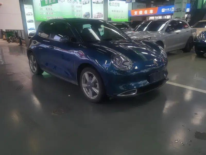 ORA Good Cat 2022 Morandi Edition, 400km Standard Range, Premium Model, Ternary Lithium Lithium Battery — миниатюра 3