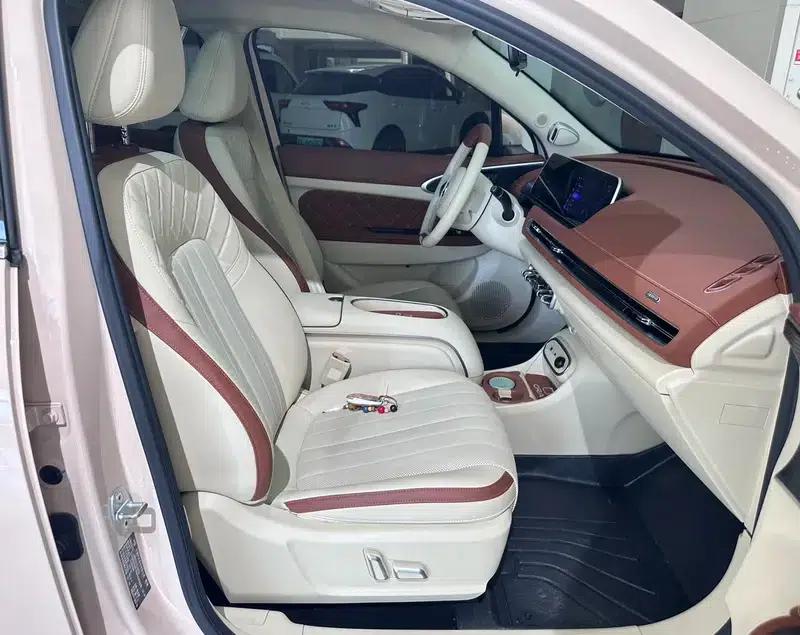 ORA Good Cat 2024 Model 401km Premium — миниатюра 13