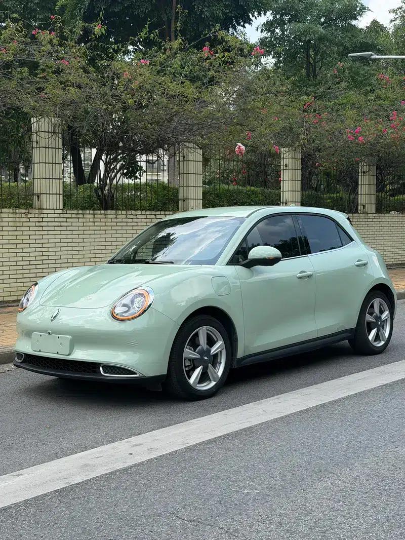 ORA Good Cat 2022 Morandi Edition, 400km Standard Range, Luxury Model, Lithium Iron Phosphate — миниатюра 1