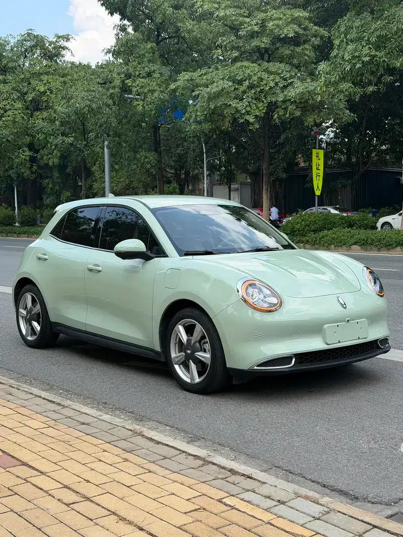 ORA Good Cat 2022 Morandi Edition, 400km Standard Range, Luxury Model, Lithium Iron Phosphate — миниатюра 2