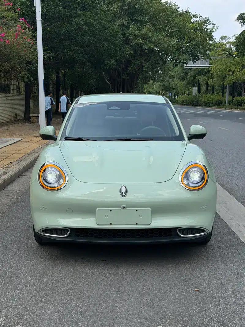 ORA Good Cat 2022 Morandi Edition, 400km Standard Range, Luxury Model, Lithium Iron Phosphate — миниатюра 13