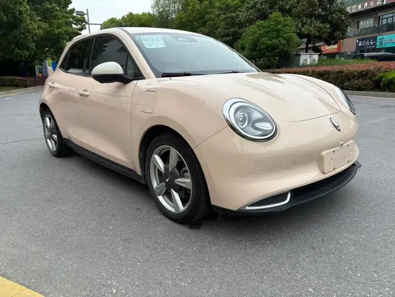 ORA Good Cat 2021 Model, 400km Standard Range, Muse Edition, Lithium Iron Phosphate Battery — миниатюра 3
